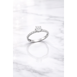 Altı Tırnak Favori Pırlanta Tektaş Yüzük 