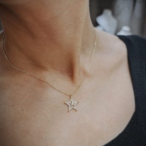 Taşlı Yıldız Kolye Taşlı Yıldız Kolye