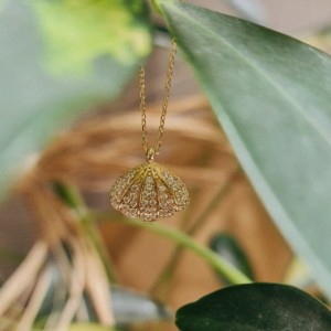 Altın Midye Kolye Altın Midye Kolye